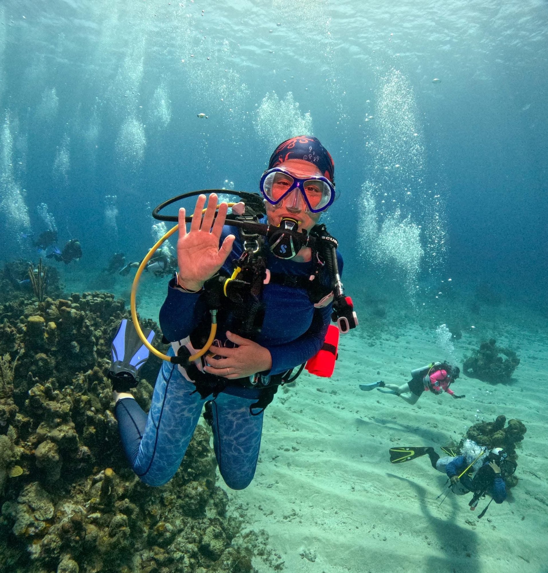 IMG_1015 - Mandi IMG_1015 - Mandi